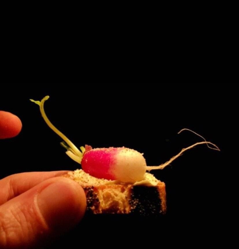 Atelier N9 - Restaurant Mortagne-au-Perche